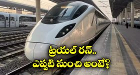 Skin Care Tips: ఈ ఫేస్ ప్యాక్స్ ఒక్కసారి ట్రై చేయండి.. అందమైన మోము మీ సొంతం