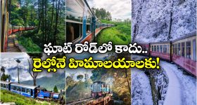 Nandikotkur Politics: బైరెడ్డి అడ్డాలో టీడీపీ ఎమ్మెల్యే కథ రివర్స్?