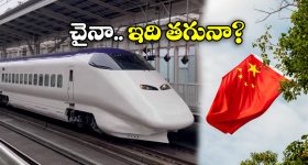 Black Hair: అర్జెంటుగా బయటికి వెళుతున్నారా? మీ తెల్ల జుట్టును ఐదు నిమిషాల్లో ఇలా నల్లగా మార్చేయండి