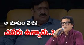 TFCC Secretary Sridhar : హీరోలపై శ్రీధర్ కామెంట్స్… నడిపించింది సునీలే ?