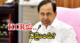Agro Terrorism: ఇండియా, అమెరికాలోకి చైనా భయానక ఫంగస్.. ‘ఆగ్రో’ టెర్రరిజానికి డ్రాగన్ కుట్ర?