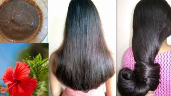 Hibiscus For Hair Growth: మందార పూలను ఇలా వాడితే.. జుట్టు వద్దన్నా పెరుగుతుంది