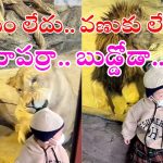 Lion Viral Video: సింహం నోట్లో బుడ్డోడి తల.. అబ్బో తినేద్దామనే.. పిల్లాడి ధైర్యం చూశారా?