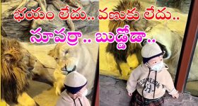 Holidays in Visakhapatnam: విశాఖలో మూడు రోజులు సెలవులు.. ఎందుకంటే?