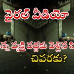 Viral Video: అర్థరాత్రి పడుకున్న వ్యక్తి దగ్గరకు వెళ్లిన సింహం.. స్మెల్ చూసి చివరకు.. వీడియో వైరల్