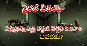 Hyderabad : చేప మందు పంపిణీ.. హైదరాబాద్‌లో ఈ రూట్లలో ట్రాఫిక్ డైవర్షన్..