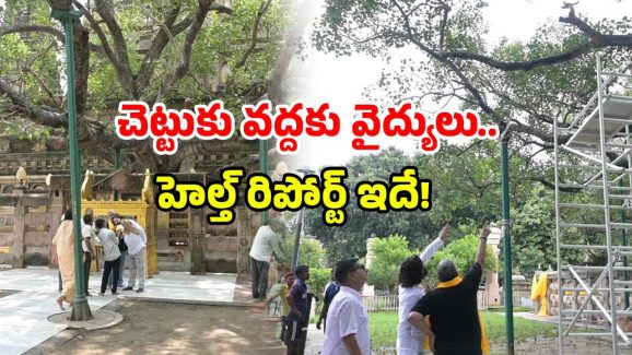 Mahabodhi tree health check: ఆ చెట్టుకు వైద్య పరీక్షలు.. ఎందుకు? ఎక్కడ చేశారంటే?