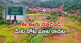 Modi village tourism: మోడీ అనే ఊరు ఉందా? ఇక్కడి స్పెషాలిటీ తెలిస్తే.. అస్సలు ఆగలేరు!