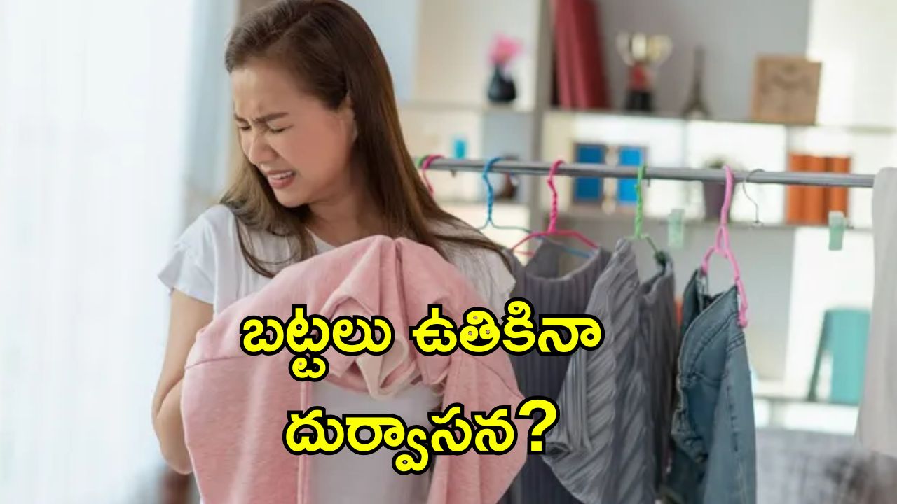 Monsoon Fresh Clothes Tips: వర్షాకాలంలో బట్టలు ఫ్రెష్‌గా, క్లీన్‌గా ఉండాలంటే.. ఈ టిప్స్ పాటించండి