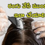 Hair Dye Scalp: జుట్టుకు రంగు వేస్తున్నారా? చర్మ ఆరోగ్యానికి హానికరం.. ఈ జాగ్రత్తలు పాటించండి