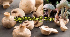 Nirudyoga Bruthi Scheme 2025: ఏపీలో వారికి శుభవార్త..  వారి అకౌంట్లలో ఏడాదికి రూ. 36 వేలు