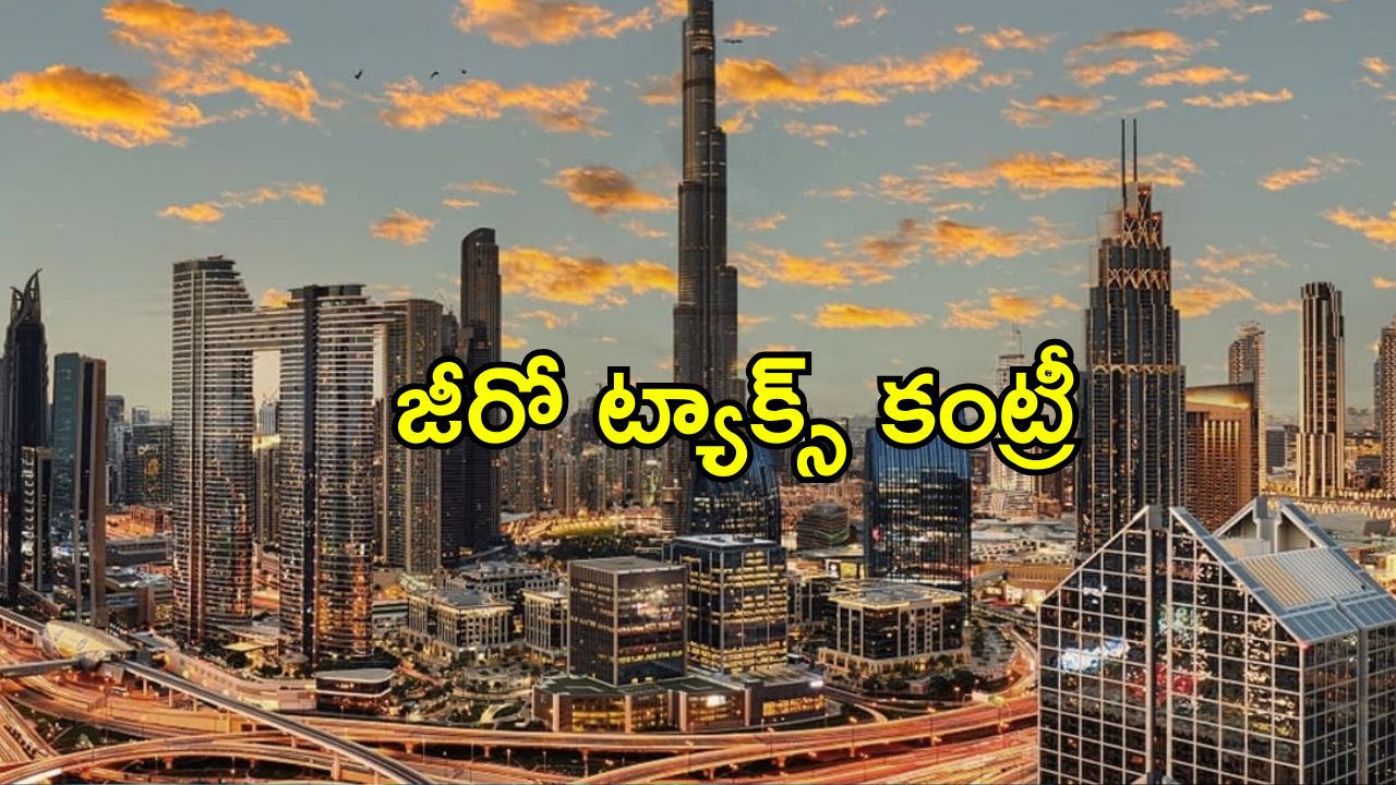 Millionaires Migration: సంపన్నులందరూ ఒకే దేశానికి పయనం.. వలసవెళుతున్న ప్రపంచకుబేరులు