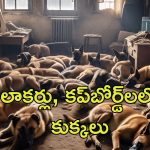 Dogs In Bedroom: ఒకే బెడ్‌రూంలో 48 కుక్కలు.. ఓనర్ అరెస్ట్..ఎందుకంటే?