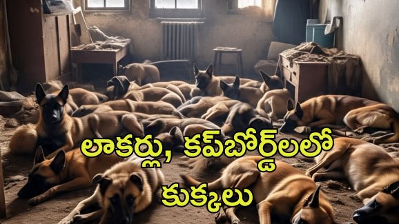 Dogs In Bedroom: ఒకే బెడ్‌రూంలో 48 కుక్కలు.. ఓనర్ అరెస్ట్..ఎందుకంటే?