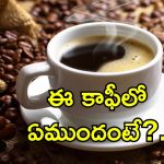 Long Life Coffee: రోజూ రెండు కప్పులు ఈ కాఫీ తాగితే ఎక్కువ కాలం జీవించవచ్చు.. అధ్యయనంలో షాకింగ్ ఫలితాలు
