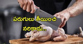 Pawan Kalyan: అఖండ గోదావరి ప్రాజెక్టు..డబుల్ ఇంజిన్ సర్కార్‌పై పవన్ కీలక వ్యాఖ్యలు