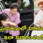 Travel Sickness: ప్రయాణం చేసే సమయంలో నీరసం, వాంతులు.. కొందరికే ఎందుకు వస్తుంది? ఎలా నివారించాలి?