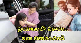 Travel Sickness: ప్రయాణం చేసే సమయంలో నీరసం, వాంతులు.. కొందరికే ఎందుకు వస్తుంది? ఎలా నివారించాలి?