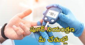 Diabetes Without Medicines: మందులు లేకుండా షుగర్ నియంత్రణ సాధ్యమే.. ఇలా చేయండి