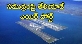Japan Airport Sinking: సముద్రంలో మునిగిపోతున్న జపాన్ ఎయిర్ పోర్ట్.. ఇక పూర్తిగా కనుమరుగు