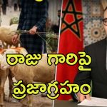 Animal Sacrifice Ban Bakrid: బక్రీద్ పండుగ వేళ జంతు బలిపై నిషేధం.. ముస్లిం దేశంలో నిరసనలు