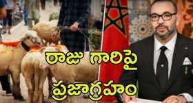 Animal Sacrifice Ban Bakrid: బక్రీద్ పండుగ వేళ జంతు బలిపై నిషేధం.. ముస్లిం దేశంలో నిరసనలు