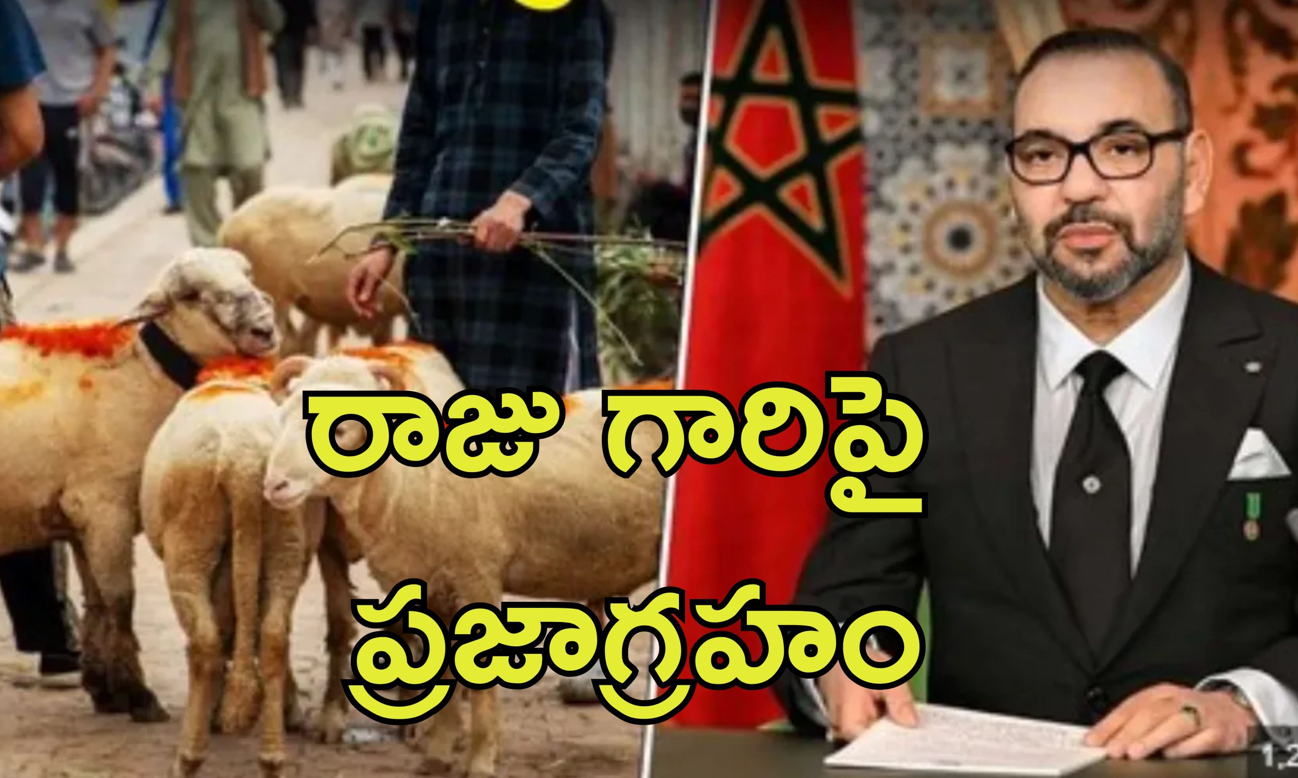 Animal Sacrifice Ban Bakrid: బక్రీద్ పండుగ వేళ జంతు బలిపై నిషేధం.. ముస్లిం దేశంలో నిరసనలు