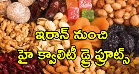 JAGAN: జగన్ 2.0 రెడీ.. తేల్చుకోవాల్సింది ప్రజలే!