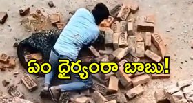 YS Jagan Singaiah Car Incident: టార్గెట్ ఎస్పీ.. జగన్ కార్ యాక్సిడెంట్‌లో కొత్త ట్విస్ట్