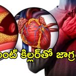 Hearth Healt CAD: గుండె అనారోగ్యానికి కొలెస్ట్రాల్ ఒక్కటే సమస్య కాదు.. తెలియని ప్రమాదకర కారణాలివే..