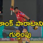 Shashank Singh IPL: ఒంటరి పోరాటం.. ఐపిఎల్ ఫైనల్లో ఆర్సీబీకి దడ పుట్టించిన ఒకే ఒక్కడు