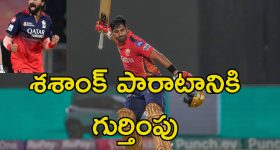 Shashank Singh IPL: ఒంటరి పోరాటం.. ఐపిఎల్ ఫైనల్లో ఆర్సీబీకి దడ పుట్టించిన ఒకే ఒక్కడు