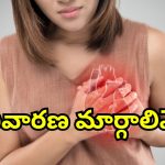 Women Heart Attack: మహిళల్లో పెరుగుతున్న గుండె పోటు కేసులు.. కారణాలు ఇవే.. ఈ జాగ్రత్తలు పాటించాలి!