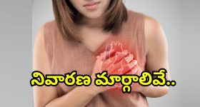Rishabh Pant: ఐపీఎల్ లో ఆడలేదు..కానీ ఇప్పుడు స్టేడియం పైకప్పులే పగులగొడుతున్నాడు