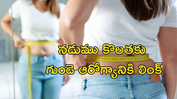 Waist Size Heart Health: నడుం సైజు పెరిగితే గుండె ఆరోగ్యానికి ప్రమాదం? తాజా అధ్యయనంలో షాకింగ్ విషయాలు