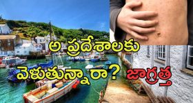Jacqueline Fernandez: నాట్య మయూరిలా మారిన జాక్వెలిన్.. కళ్ళతోనే మాయ చేస్తూ!