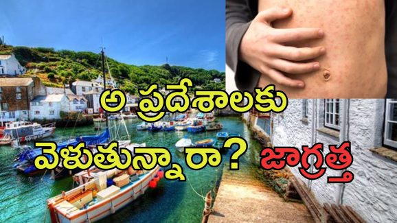 Holiday Spots Measles: హాలిడే స్పాట్స్‌లో మెదడు వాపు వ్యాధి ఇన్‌ఫెక్షన్ .. ఈ ప్రదేశాలకు వెళితే ప్రమాదం