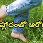 Barefoot Walking Grass: ఉదయాన్నే పచ్చగడ్డిపై కాలినడక.. చెప్పులు లేకుండా నడిస్తే ఎన్నో ఆరోగ్య లాభాలు