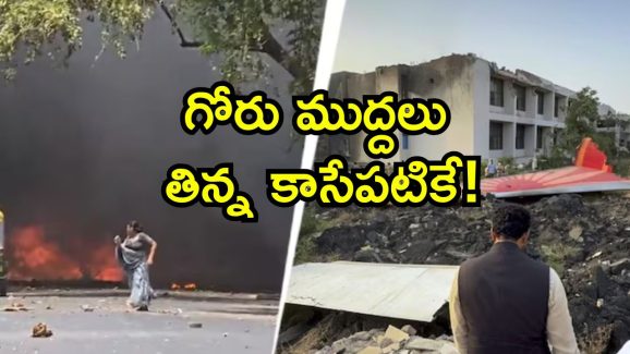 Plane Crash Victim Story: చెట్టు కింద నిద్రిస్తున్న బిడ్డపై పడ్డ విమానం.. తప్పించుకున్న తల్లి, గుండె బరువెక్కించే ఘటన