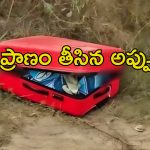 Woman In Suitcase: ఇంటి నుంచి బ్యాంకుకు వెళ్లిన యువతి.. సూట్‌కేసులో శవమై లభ్యం