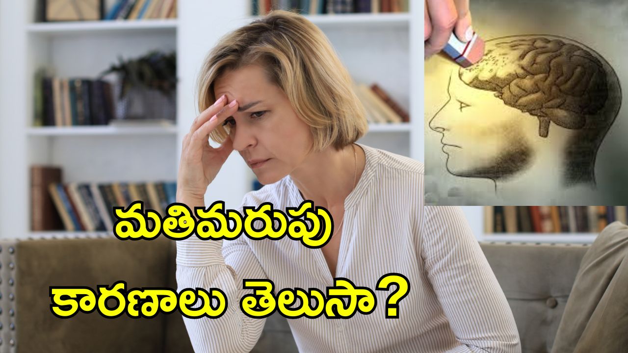 Alzheimer’s Memory Decline: మతిమరుపు, అల్జీమర్స్‌కు ఇవే కారణాలు.. మెదడు ఆరోగ్యానికి ప్రమాదకరం..