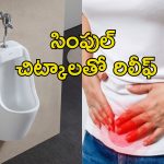Burning In Urine: మూత్రంలో మంట.. ఈ డ్రింక్స్‌తో వెంటనే ఉపశమనం