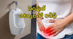 Nayanthara: స్వచ్ఛమైన ప్రేమకు నీవే ప్రతిరూపం.. నయన్ క్యూట్ ఫోటోలు వైరల్!