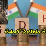 India GDP Per Capita: దూసుకుపోతున్న భారత్ జిడిపీ.. సంతోషించాల్సిన విషయం కాదు.. నిపుణుల హెచ్చరిక