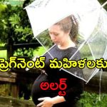 Monsoon Infections Pregnancy: గర్భవతులకు వర్షాకాలంలో ఈ ఇన్ఫెక్షన్లు సోకే ప్రమాదం.. నివారణకు జాగ్రత్తలు ఇవే