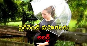 Monsoon Infections Pregnancy: గర్భవతులకు వర్షాకాలంలో ఈ ఇన్ఫెక్షన్లు సోకే ప్రమాదం.. నివారణకు జాగ్రత్తలు ఇవే