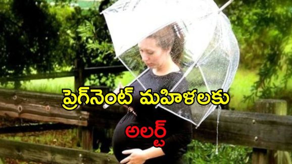 Monsoon Infections Pregnancy: గర్భవతులకు వర్షాకాలంలో ఈ ఇన్ఫెక్షన్లు సోకే ప్రమాదం.. నివారణకు జాగ్రత్తలు ఇవే