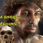 Humans Extinct DNA Study: మానవులంతా అంతరించిపోయిన వేళ.. 8 లక్షల సంవత్సరాల క్రితం ఏం జరిగింది?