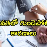 Indians High BP: 40 ఏళ్లలోపు భారతీయులలో హై బీపీ సమస్య.. ఈ ఆయుర్వేద టిప్స్‌తో రివర్స్