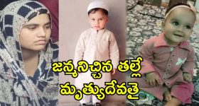 Rapa Rapa Poster Row: రాజకీయాల్లోనూ పుష్ప దే రూల్.. జగన్ వ్యూహం ఇదేనా? ఆ కార్యకర్త ఏ పార్టీ వాడంటే?